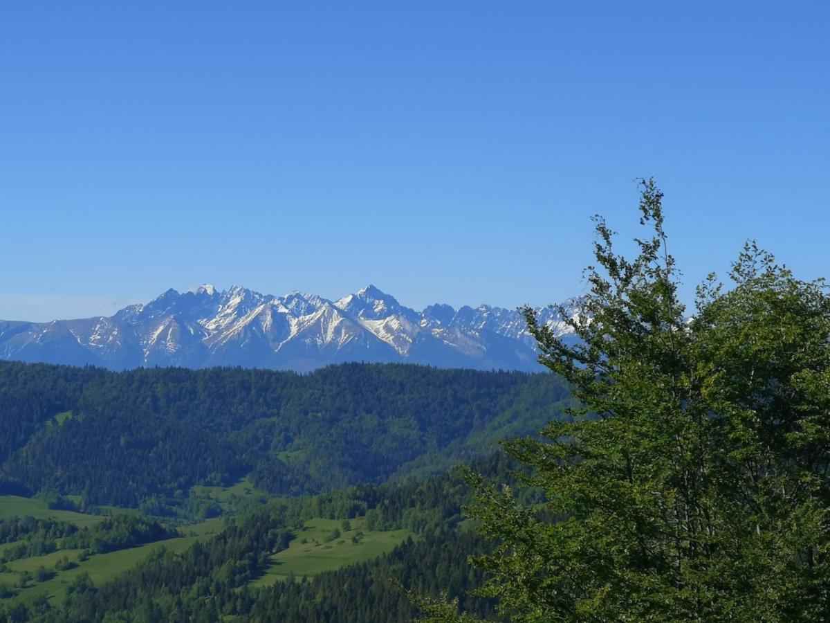 Gorczanskie Siedlisko Ochotnica Gorna Luaran gambar