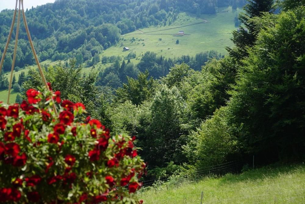 Gorczanskie Siedlisko Ochotnica Gorna Luaran gambar